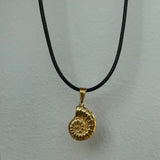 Fossil Sea Shell Kette