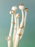 Simple Shine Titan Piercing Gold-Shopicrush