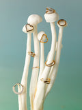 Parallel Shine Titan Piercing Gold-Shopicrush
